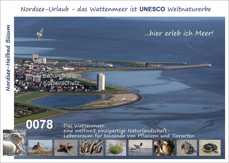 0078  BÜSUM   UNESCO Watt   001 ..jpg